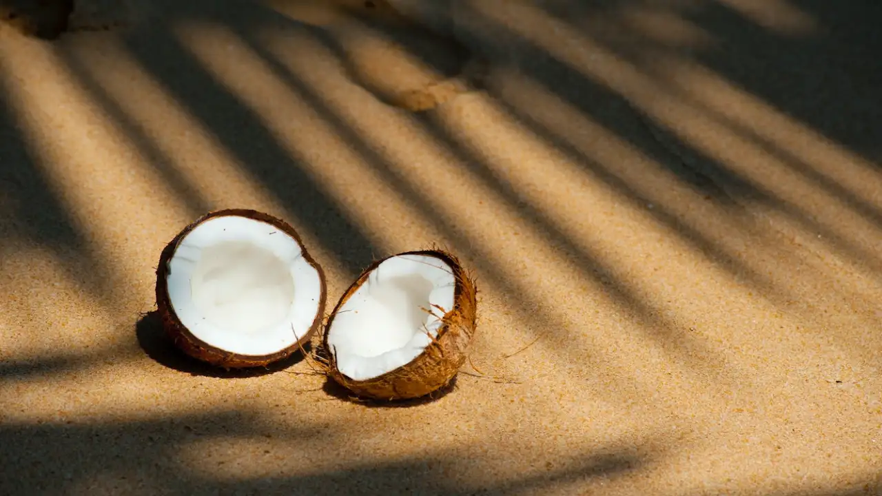 10 Disadvantages of Coconut Water That You Should Know PINKVILLA