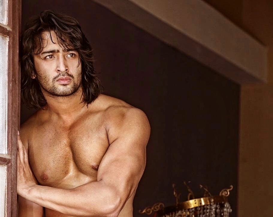 EXCLUSIVE: YRHPK's Shaheer Sheikh gets candid about birthday plans, being a globe trotter, playing Abir & more