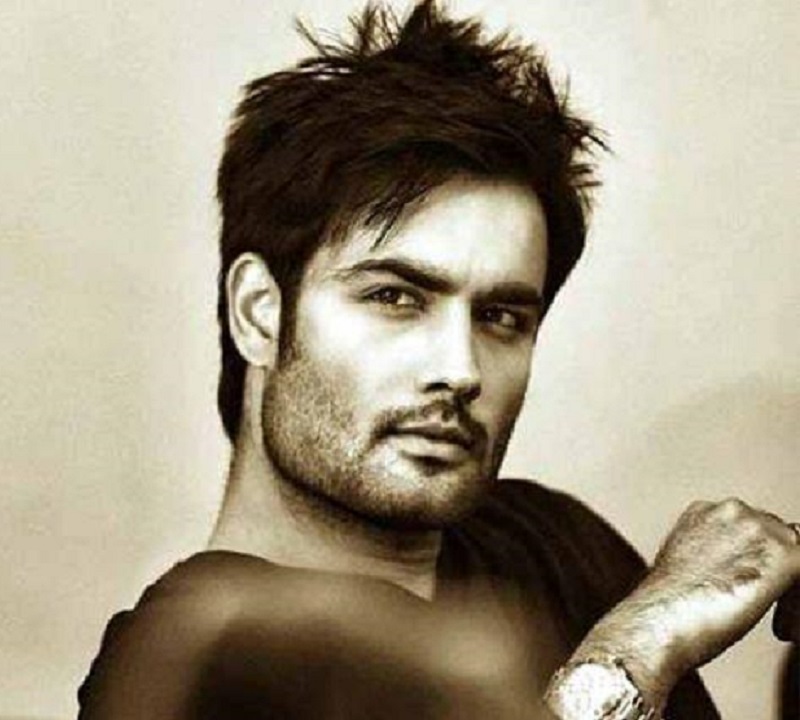 EXCLUSIVE: Vivian Dsena FINALLY opens up on exiting from Shakti Astitva Ke Ehsaas Ki, social media, Bigg Boss