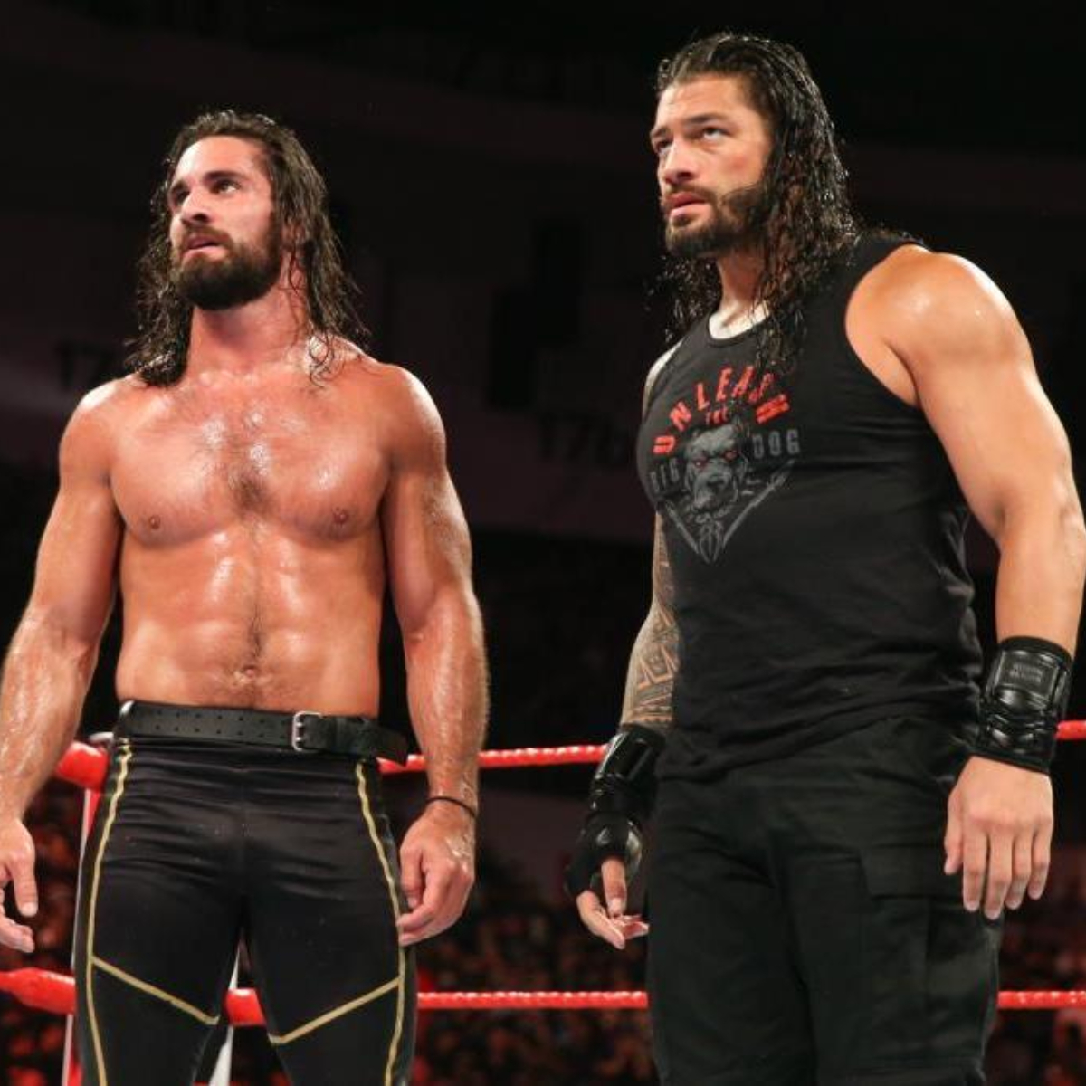 WWE News: Seth Rollins REACTS to The Shield brother Roman Reigns ...