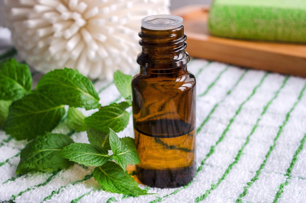 The Benefits Of Peppermint Oil For Hair Health PINKVILLA   1683264588 Shutterstock 236423968 