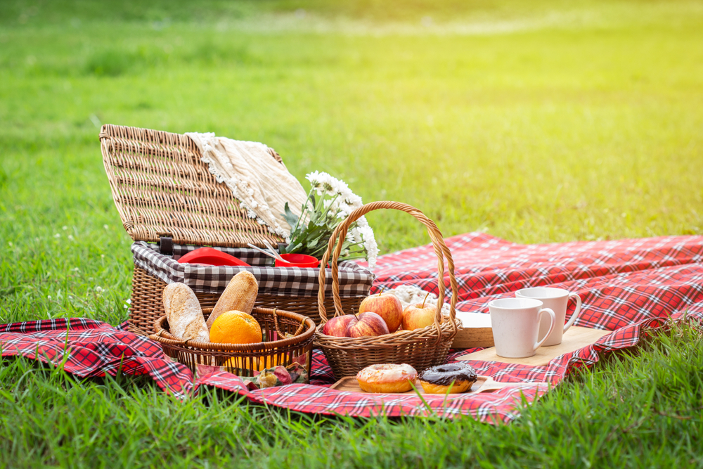 Picnic in the Park