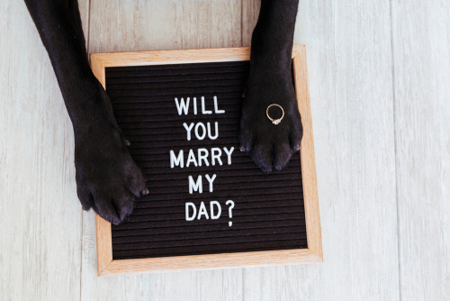 Unforgettable Marriage Proposal Ideas to Win Your Lover's Heart