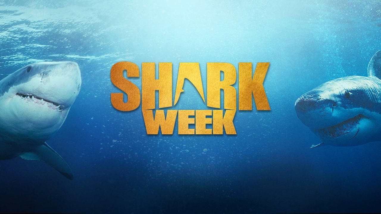 Shark Week 2023 How can I watch Discovery's annual programming block