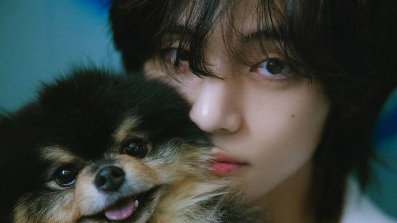 BTS's V's dog Yeontan debuts in his solo song Rainy Days - But is