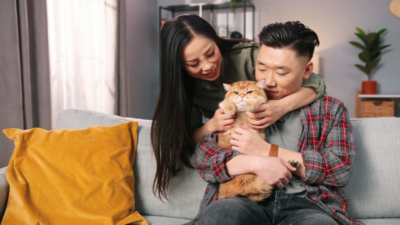 Libra to Cancer: 4 Zodiac Signs Who Dream of Being Pet Parents Long Before Having Children