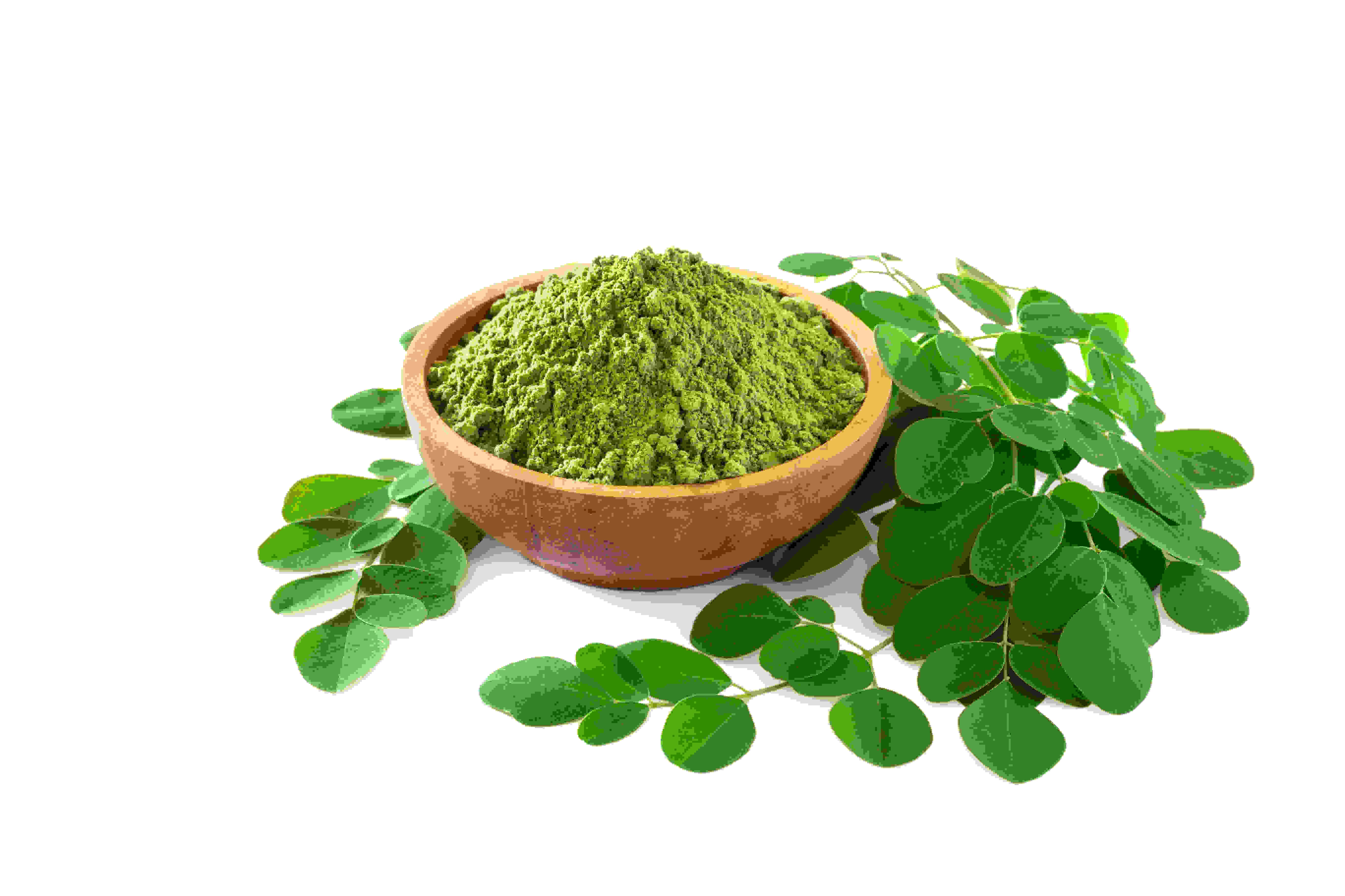 Moringa Tea Benefits