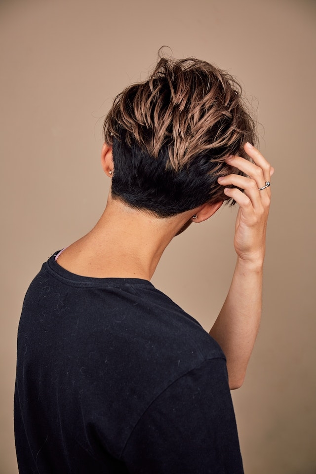 Timothée chalamet hair