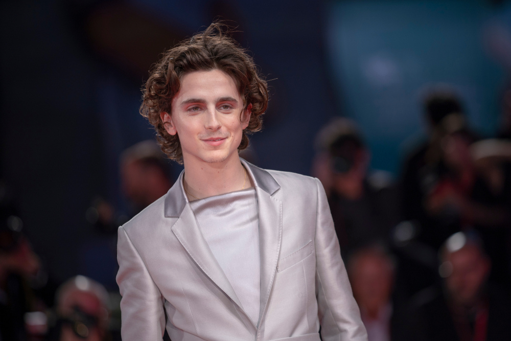 Timothée chalamet hair