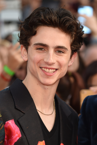 Timothée chalamet hair