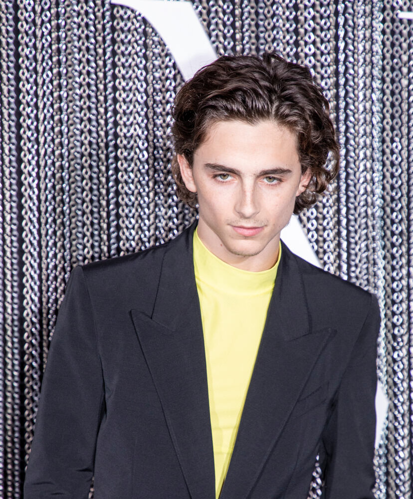 Timothée chalamet hair