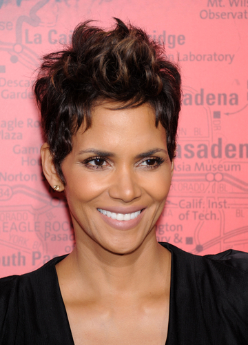 30 Stunning Halle Berry Hairstyles: Decoding the Timeless Elegance ...