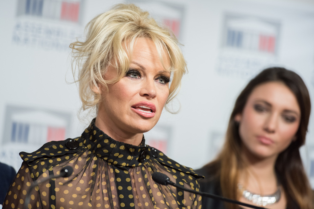 Pamela Anderson Hairstyles