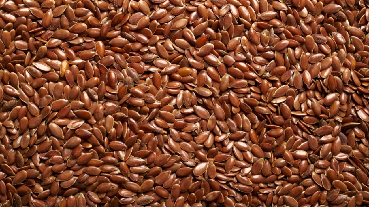 Flax Seeds