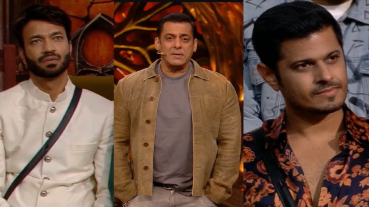 Top 6 Bigg Boss Contestants Who Got A Break In Salman Khan Films