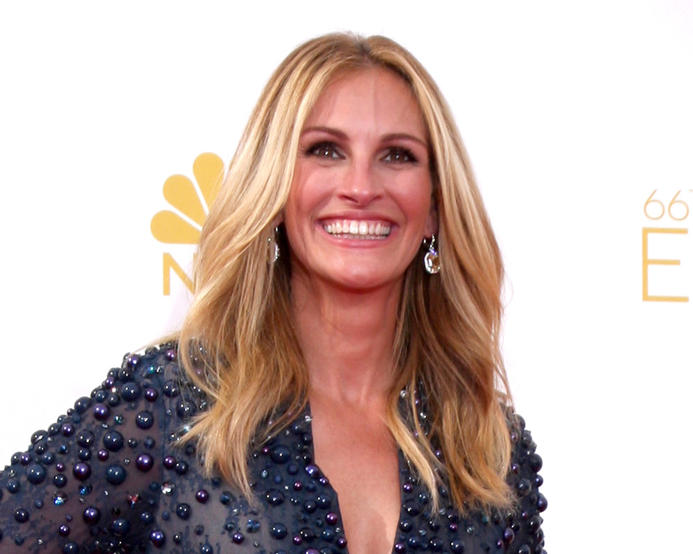 Julia Roberts Plastic Surgery 