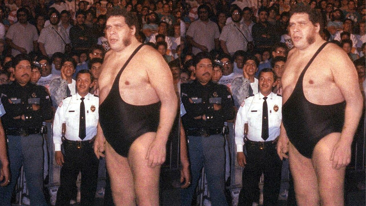 Andre the Giant