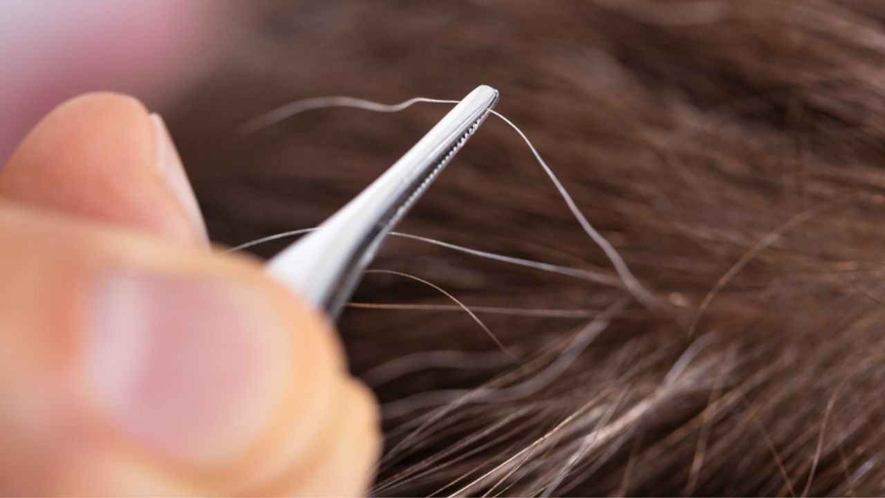 Is Plucking White Hair a Bad Idea?