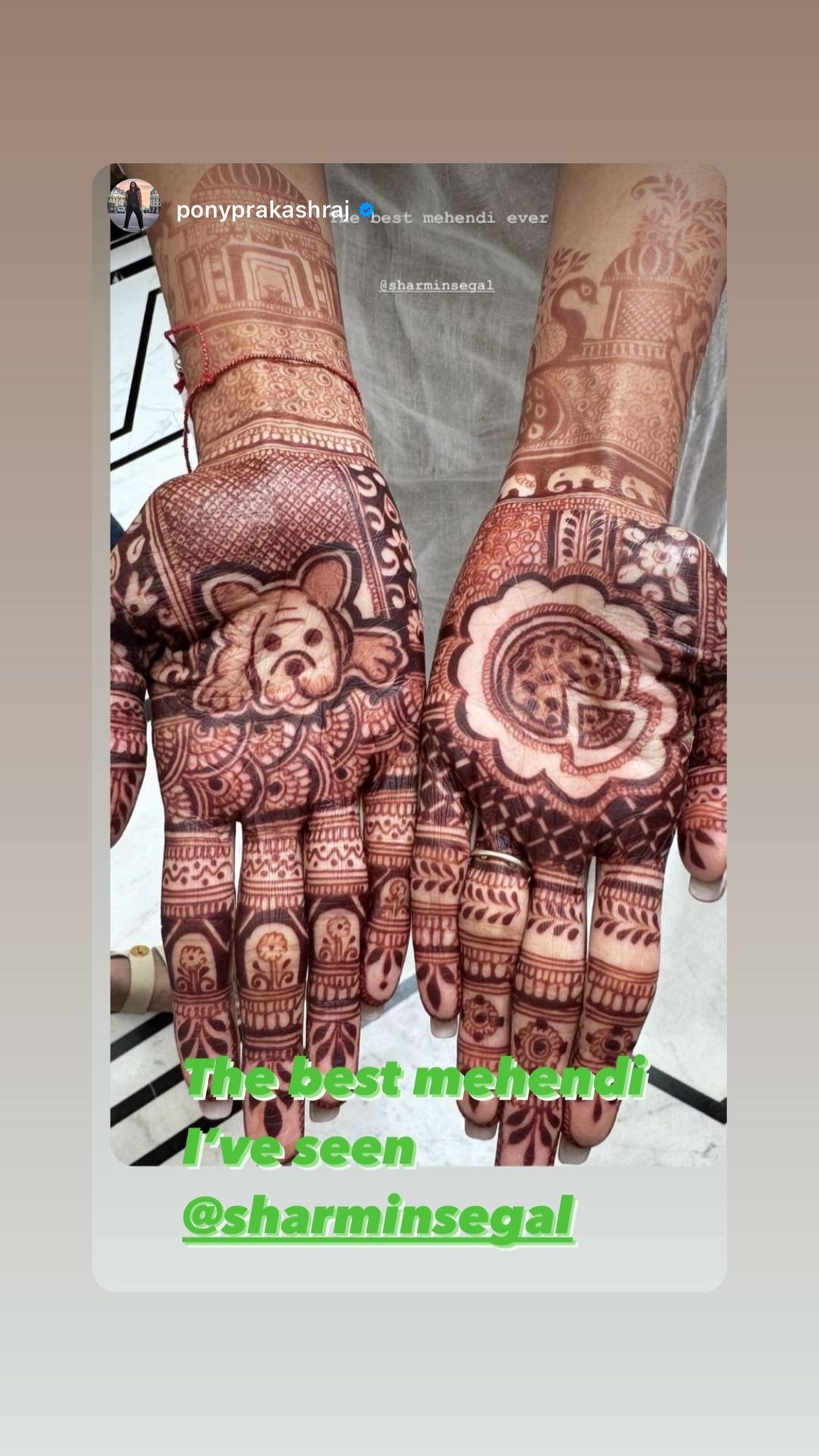 Sharmin Segal's Mehendi