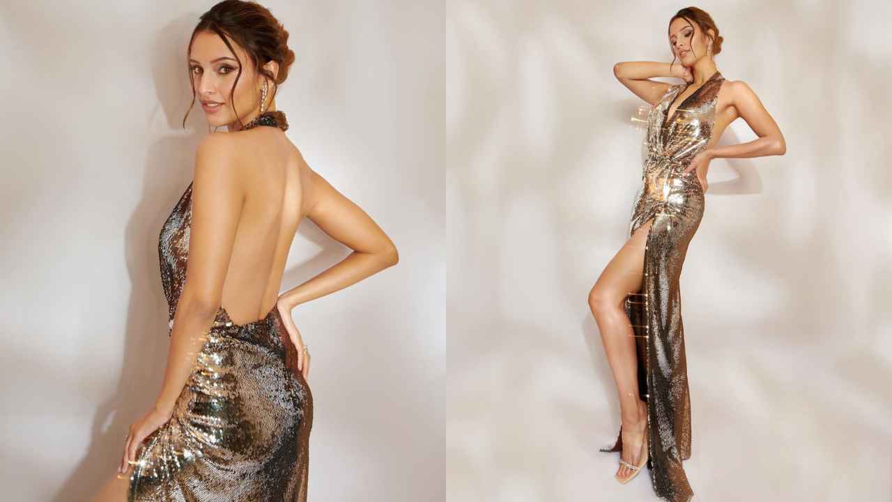 6 times Triptii Dimri flaunted her love for sultry body-hugging long dresses (PC: Tripti Dimri Instagram)