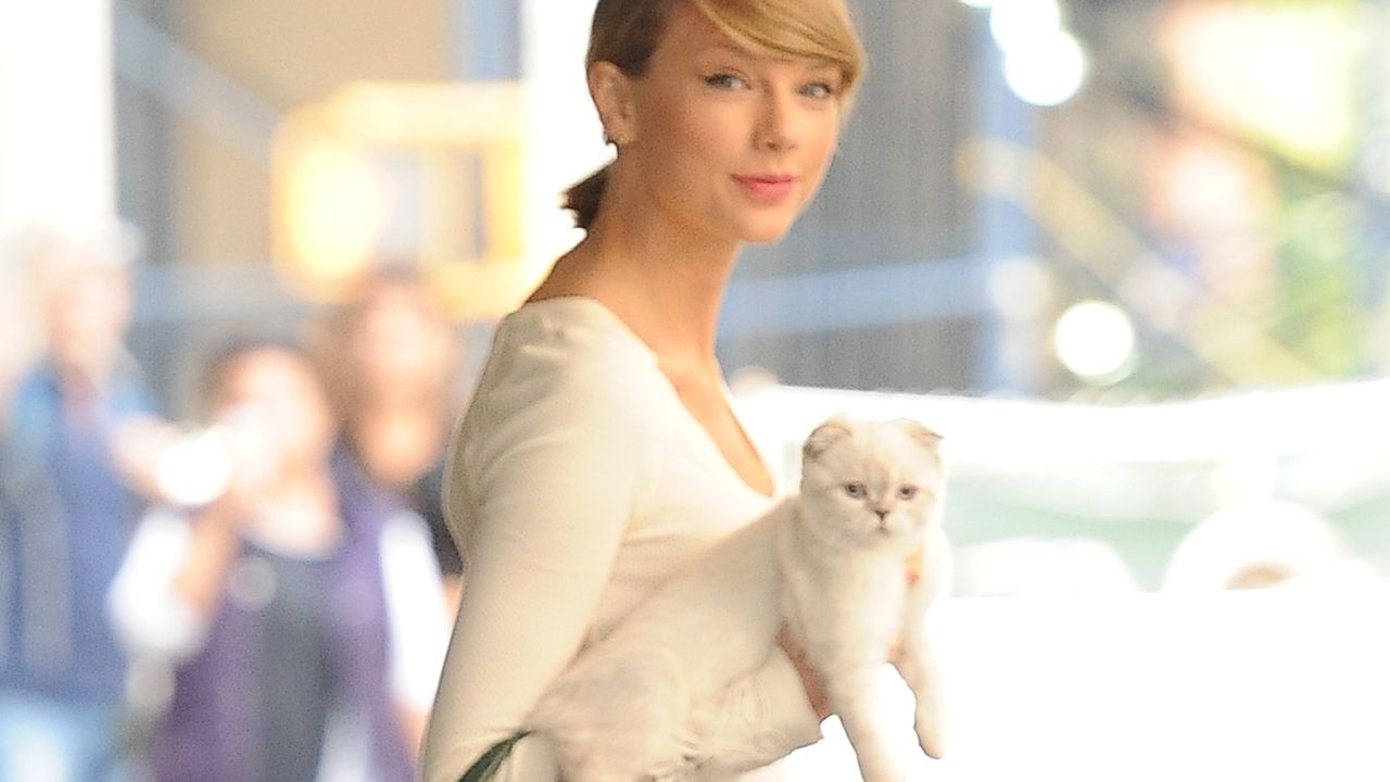 Did you know Taylor Swift's cat reportedly has a higher net worth than her boyfriend Travis Kelce? | PINKVILLA