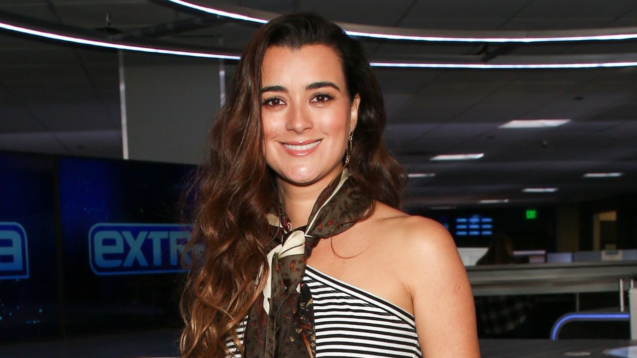 Cote de Pablo (Getty Images)