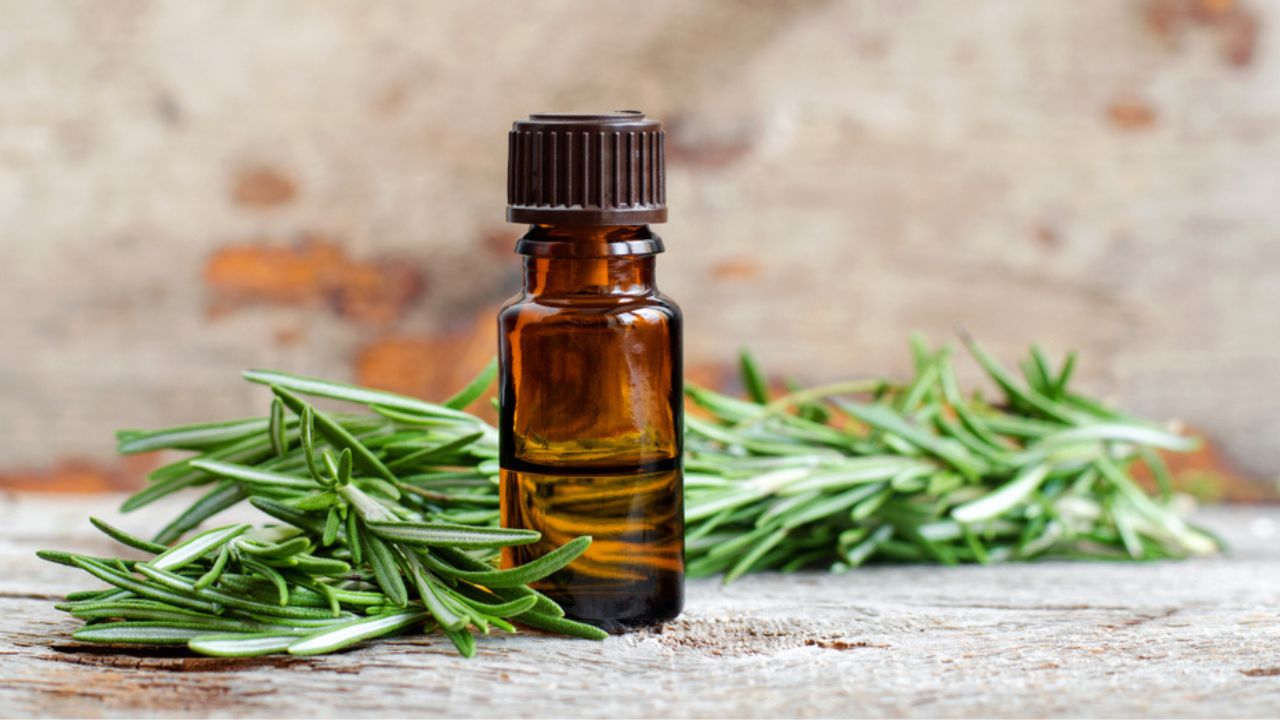 What Are the Benefits of Rosemary Oil for Hair Growth?