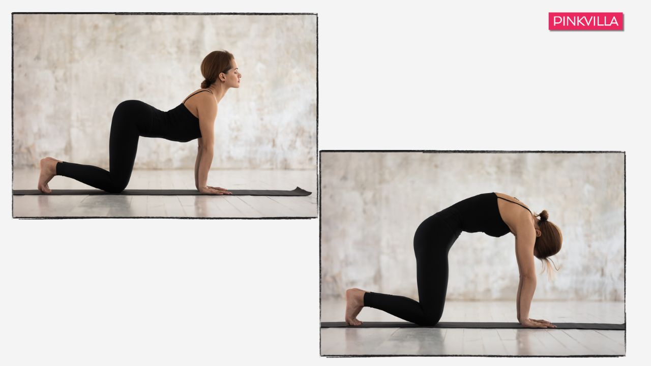 Cat-Cow Pose (Marjaryasana-Bitilasana) Yoga for Constipation