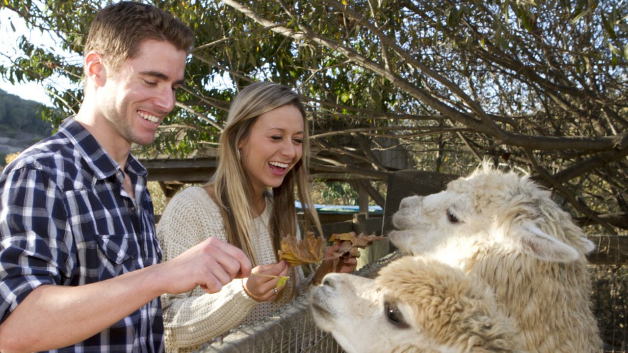 Visit a Zoo Or an Aquarium