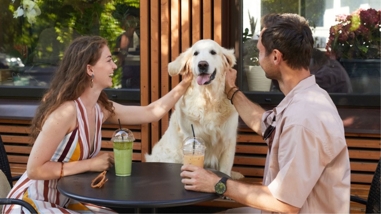 Visit a Cat Cafe/Dog Cafe