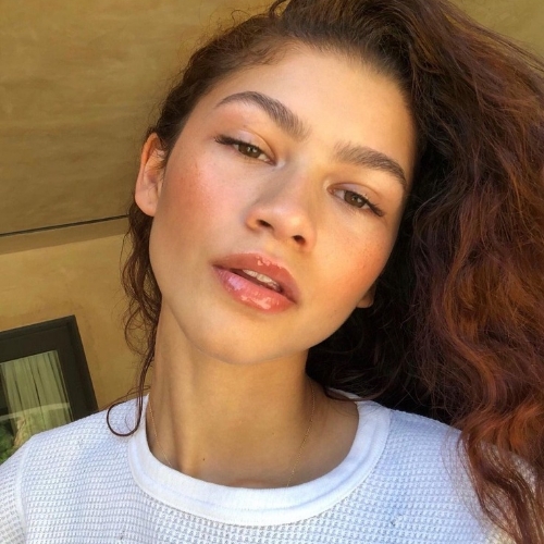 Zendaya Coleman (Instagram / Zendaya)