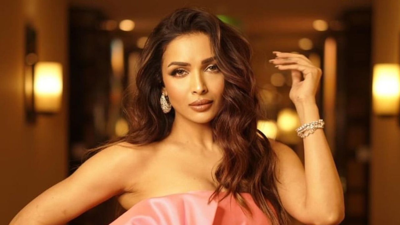 Malaika says she has made career out of being ‘criticized and trolled’ for her choices (Instagram/@malaikaaroraofficial)