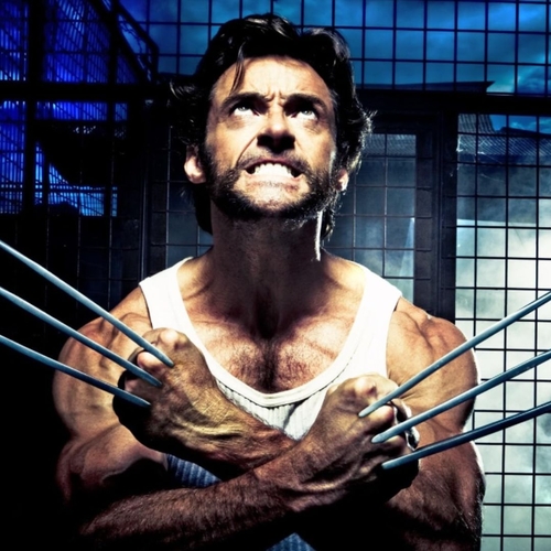 3.	X-Men Origins: Wolverine (imdb)