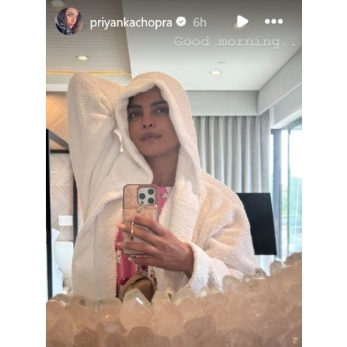 Priyanka Chopra on Instagram Story