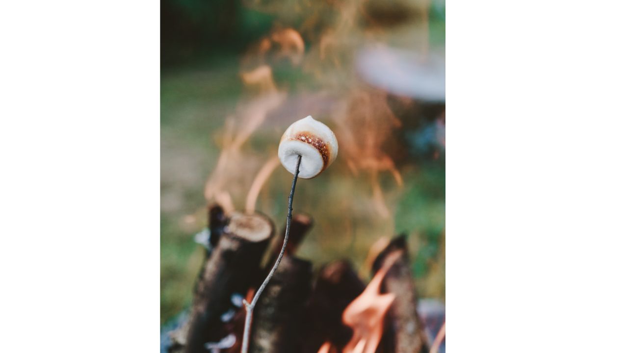 Person Holding S'mores