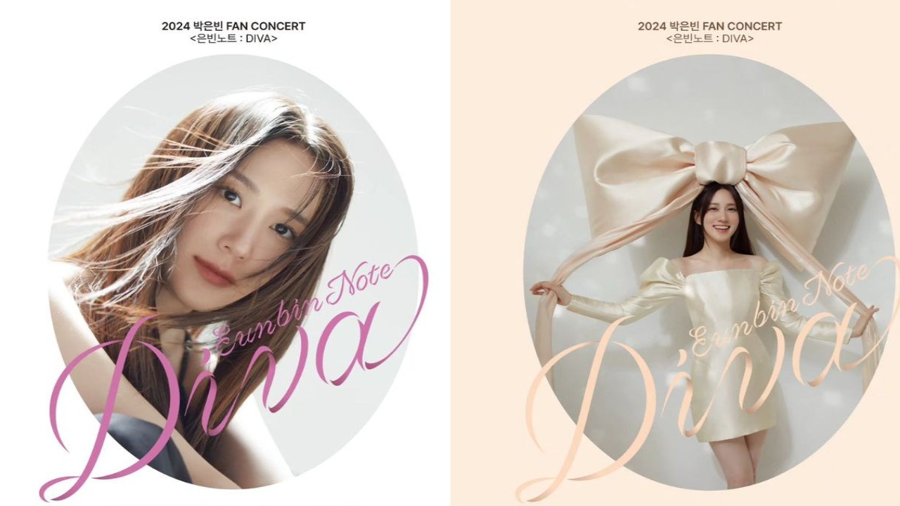 Park Eun Bin 2024 concert posters: Images from Namoo Actors
