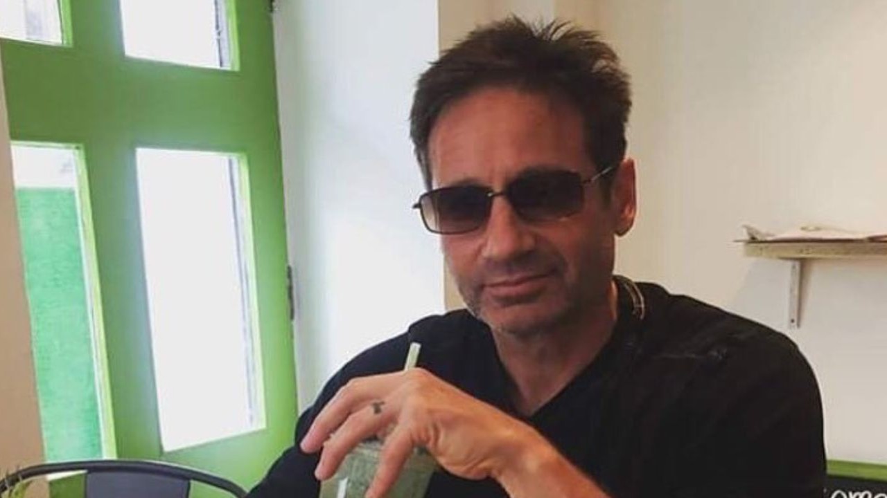 David Duchovny Spills: The One Flop That Flipped His View On Negative Reviews