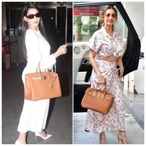 6 celebs and their obsession with Birkin bags (PC: Pinkvilla)