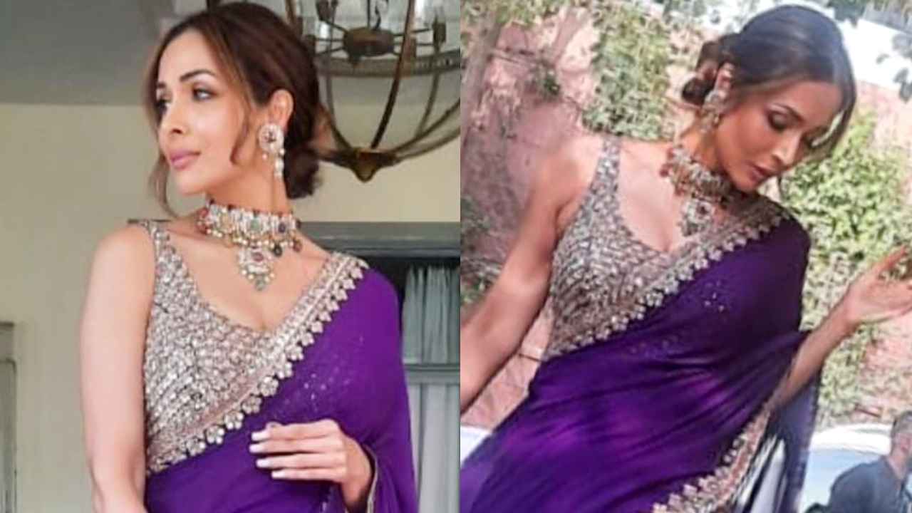 Malaika Arora’s purple hand-embroidered saree is a total must-have for the wedding season (PC: Malaika Arora Instagram)