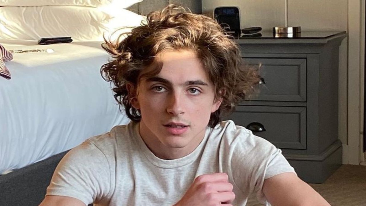 Will Timothee Chalamet Sing Bob Dylan's Song By Himself In A Complete Unknown? Director James Mangold Once Revealed THIS