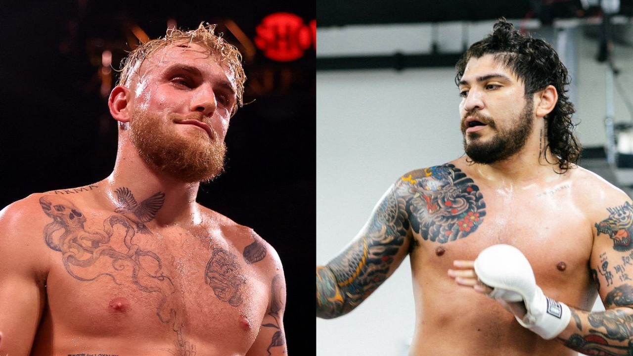 Dillon Danis Trolled by Fans After Announcing $50000 Giveaway Offer Over Bold Jake Paul Claim