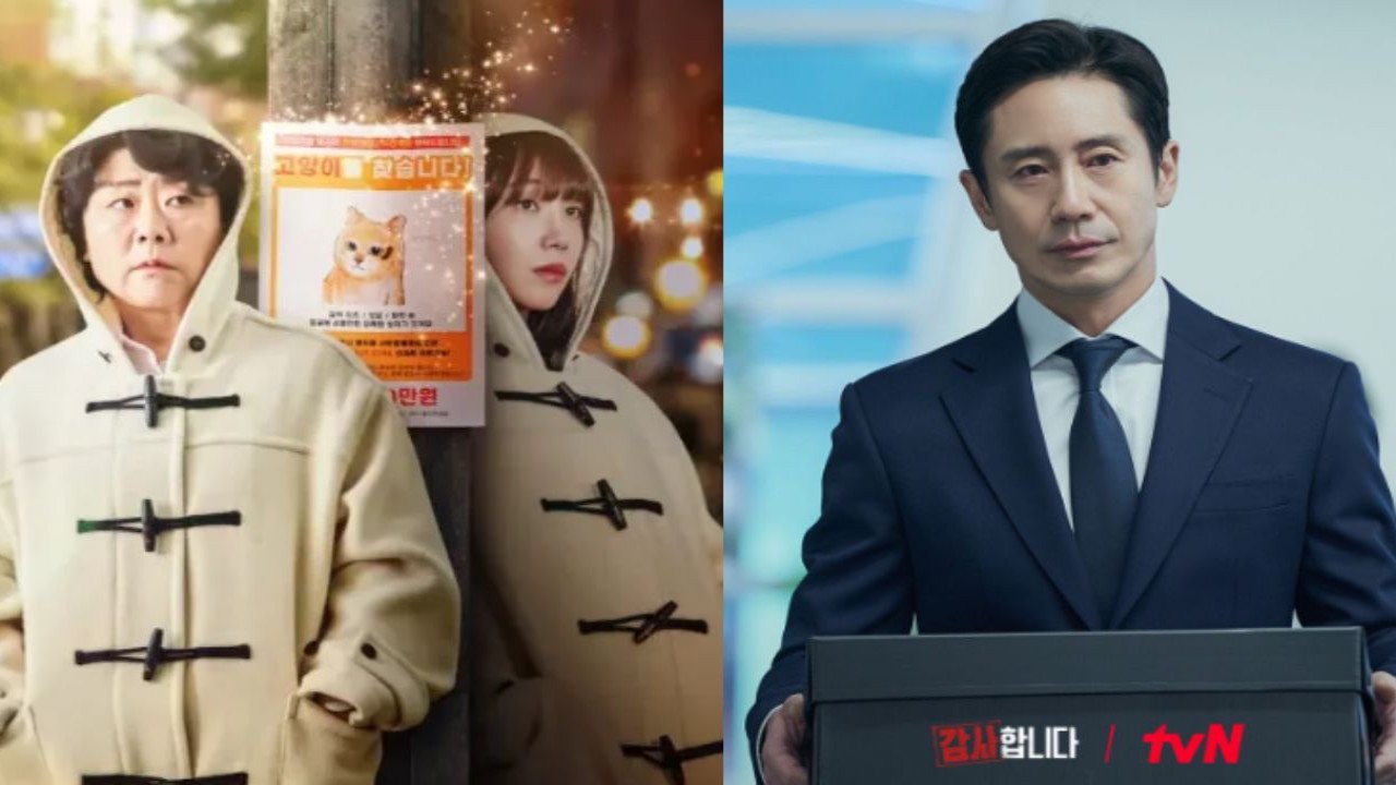 Miss Night and Day, The Auditors: JTBC, tvN 