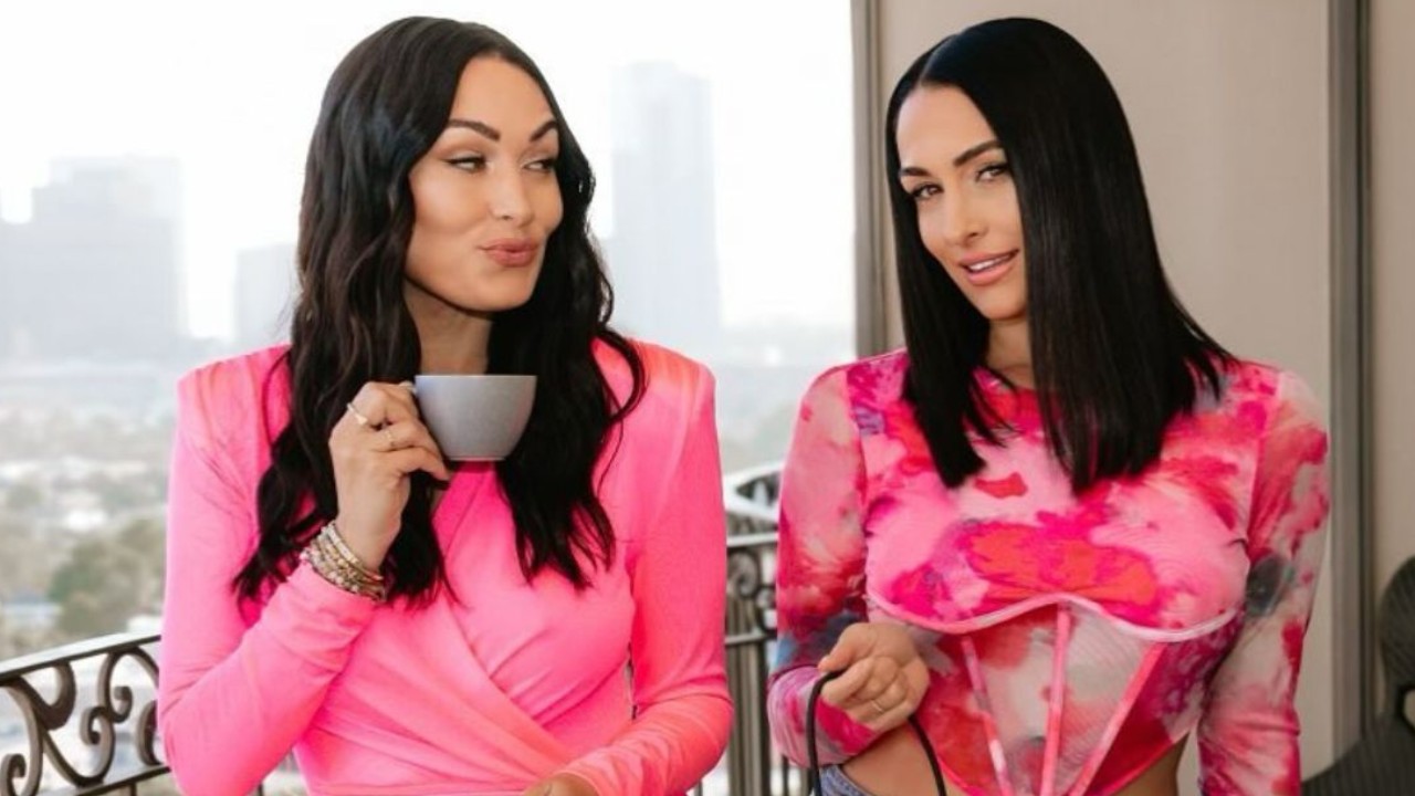 Nikki And Brie Bella Reveal How Working At Hooters Helped Them Prepare For WWE