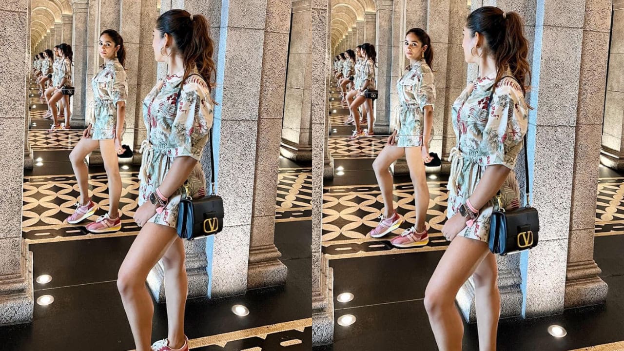 Mira Kapoor's valentino bag 