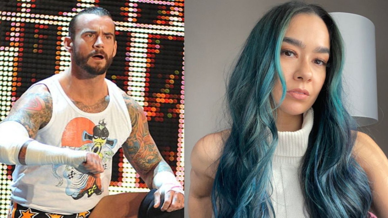 CM Punk Wants To Make Out With His Wife AJ Lee On WWE Television Once Again 