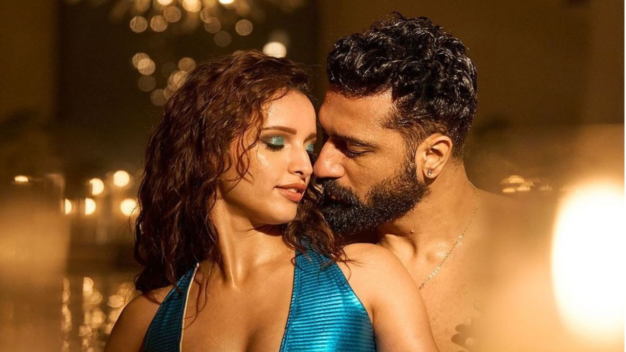 Bad Newz Song Jaanam's Teaser: Vicky and Triptii redefine sizzling romance; WATCH (Instagram/@vickykaushal09)