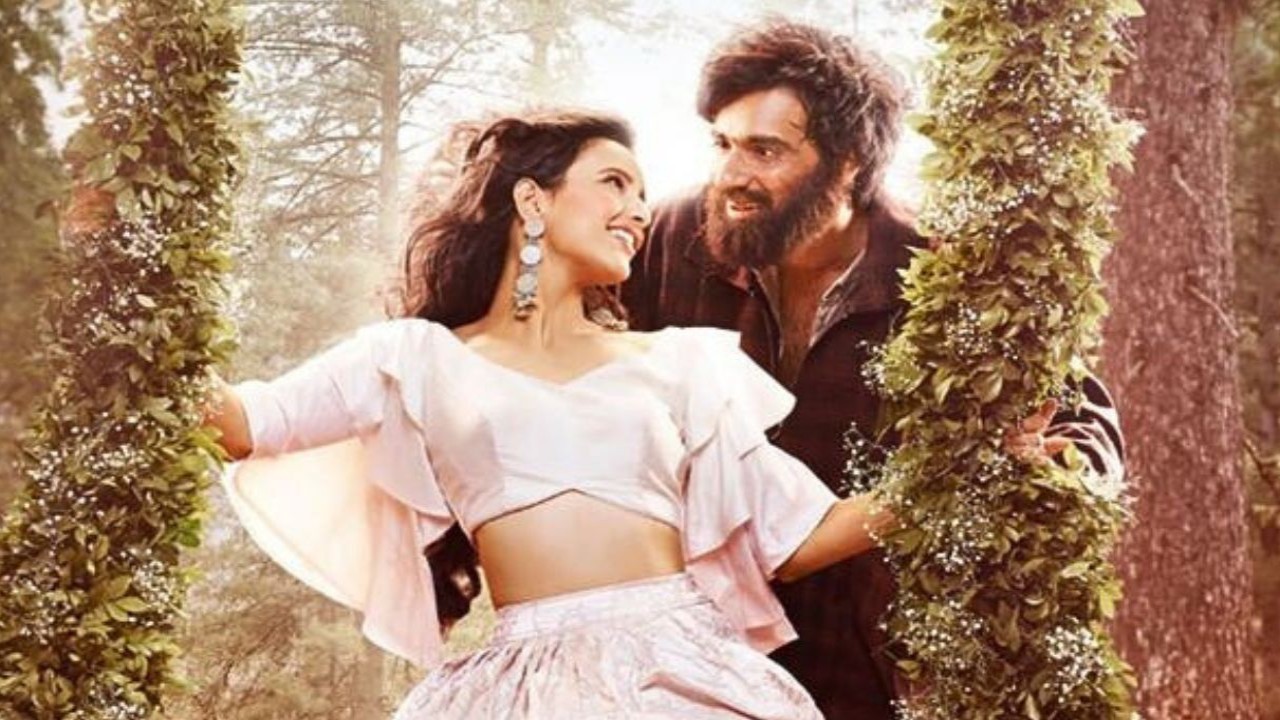 Laila Majnu Re-Release Box Office Collection: Avinash Tiwary, Triptii Dimri's movie col...