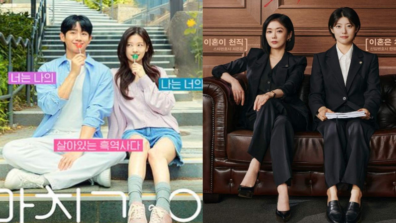 Love Next Door, Good Partner poster: tvN, SBS