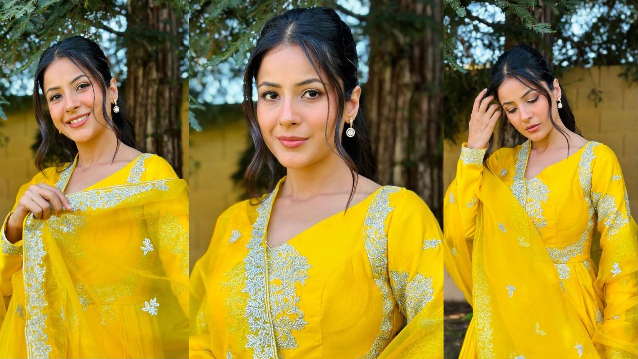 5 ethnic looks of Shehnaaz Gill that made us swoon over her desi charm (PC: Shehnaaz Gill Instagram)