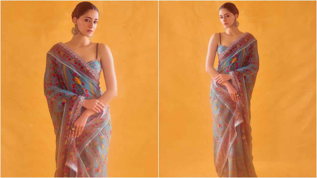 6 modern sarees for sisters who want to slay their Raksha Bandhan looks 2024: Alia Bhatt to Shraddha Kapoor (PC: Celebrities Instagram)